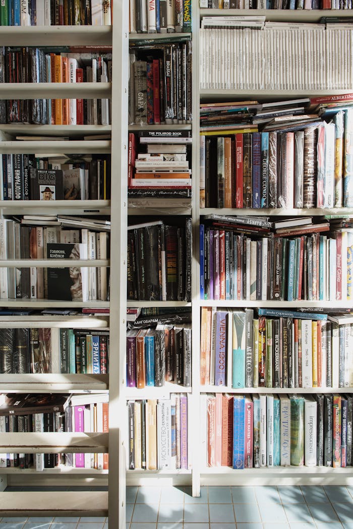 Services-01 A bookshelf packed with a variety of colorful books illuminated by sunlight, indoor library setting.